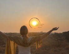 7303_4_4_mitlogo_cut2b