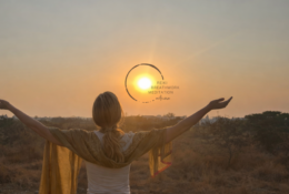 7303_4_4_mitlogo_cut2b