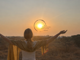 7303_4_4_mitlogo_cut2b